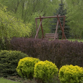 Hotel Dunajec, galeria zdjęć - kategoria: Hotel - nr 3